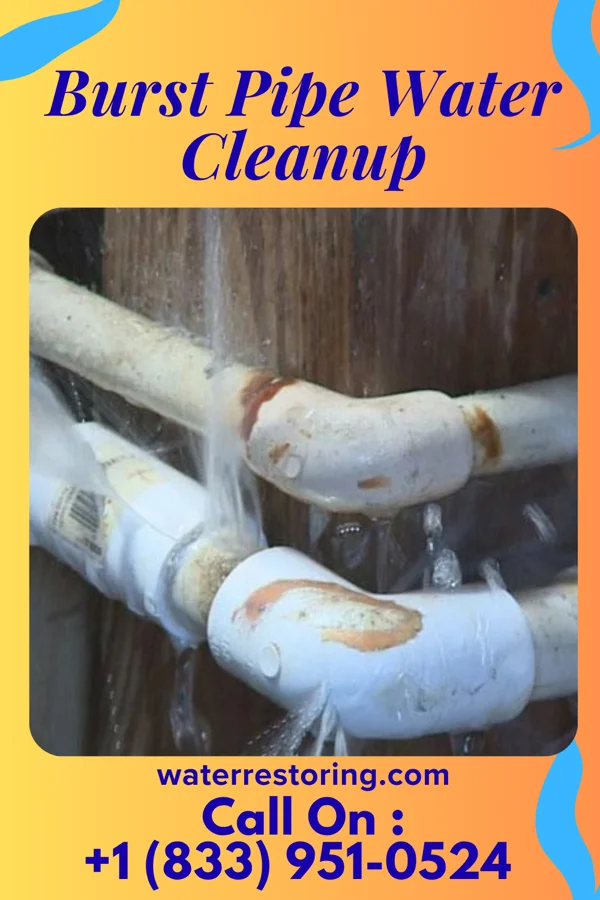 Burst Pipe Water Cleanup in Franklin, MO