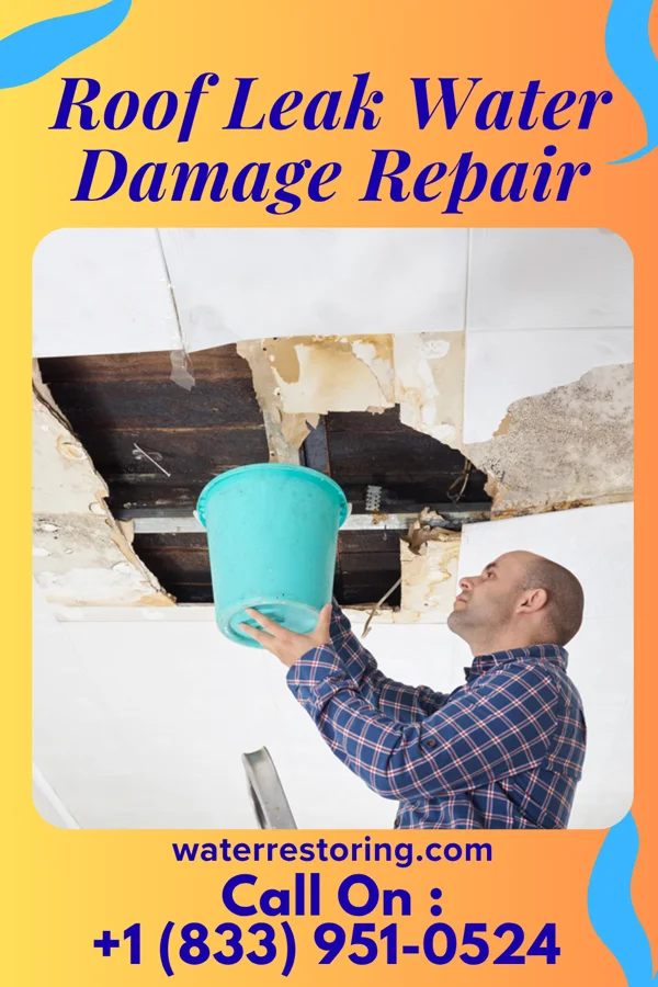Roof Leak Water Damage Repair in Franklin, MO